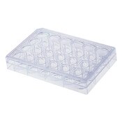 24 Well Cell Culture Plate